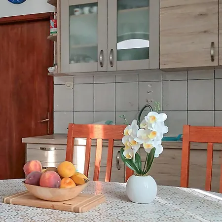 In Zizanj With Kitchen Casa de Férias Otok Zizanj